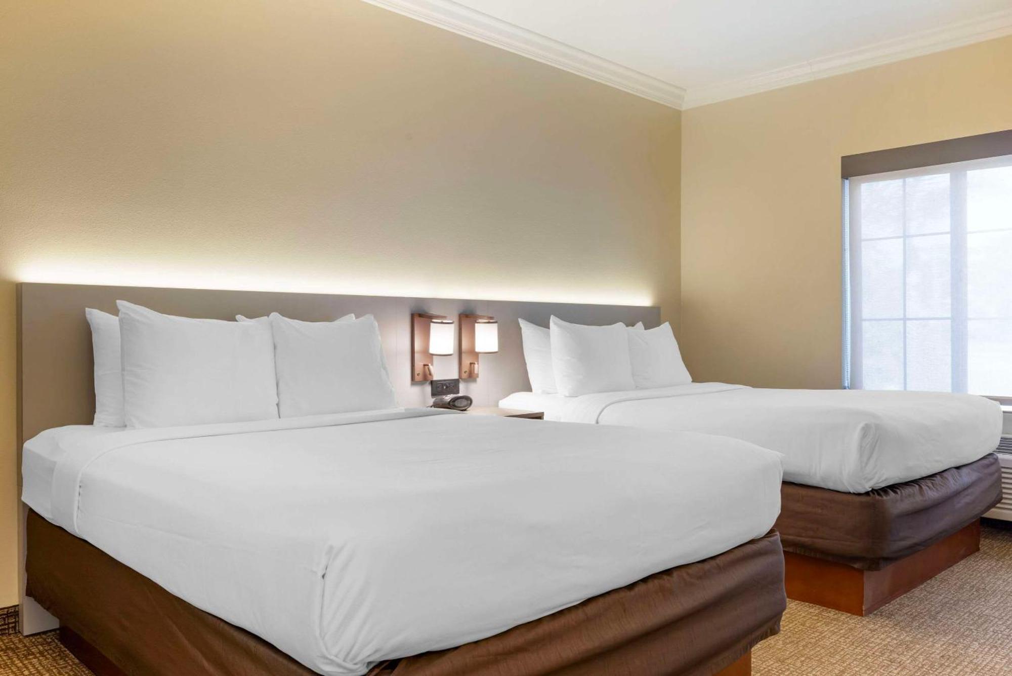 Comfort Suites Oceanside Camp Pendleton Area Экстерьер фото